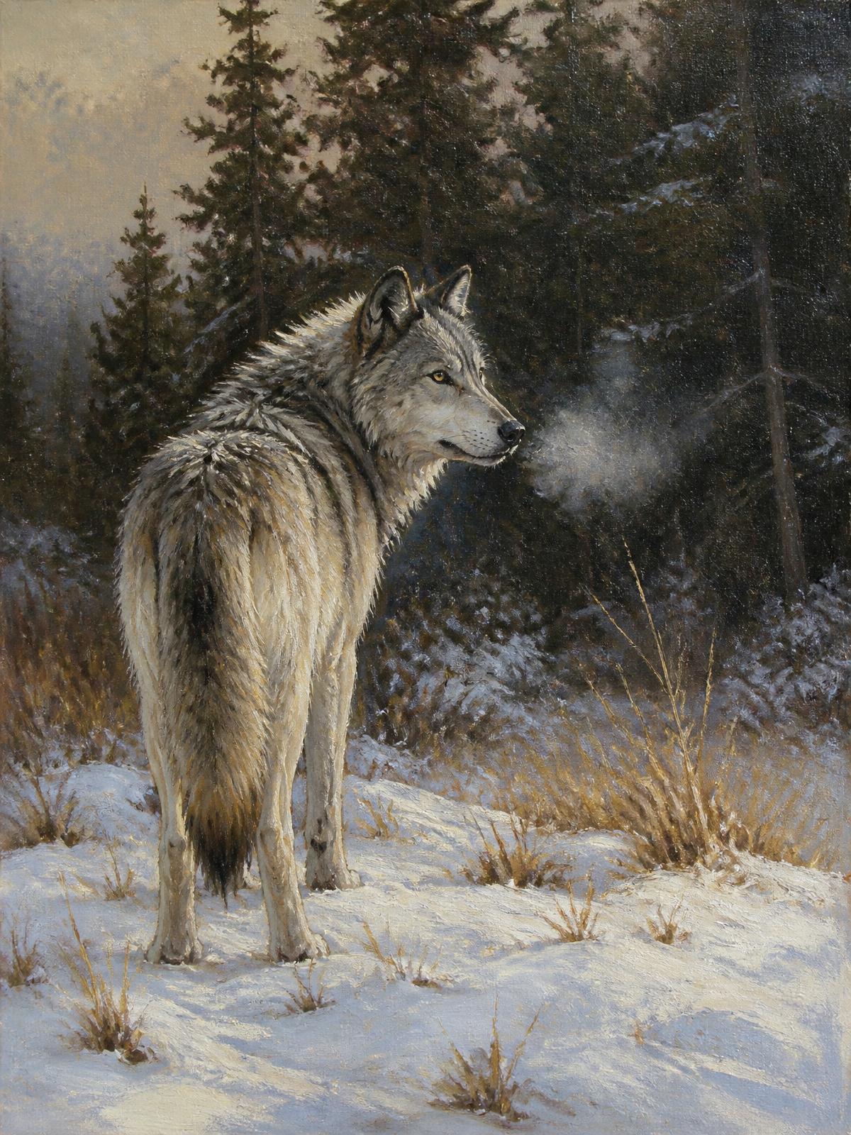 Wolf, First Snow